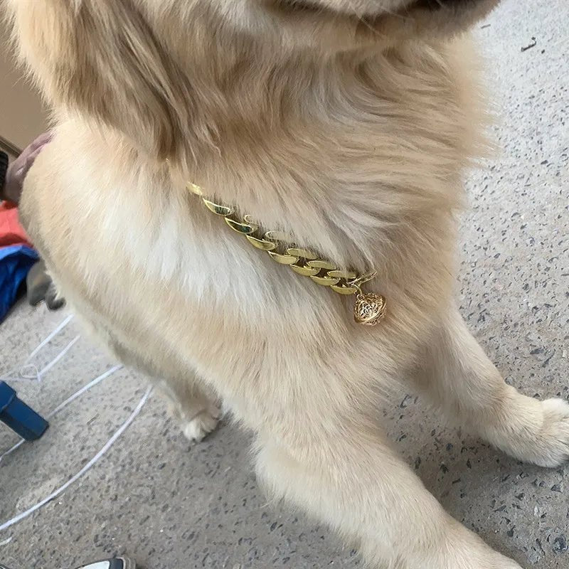 Collier pour chat male - ChatMour