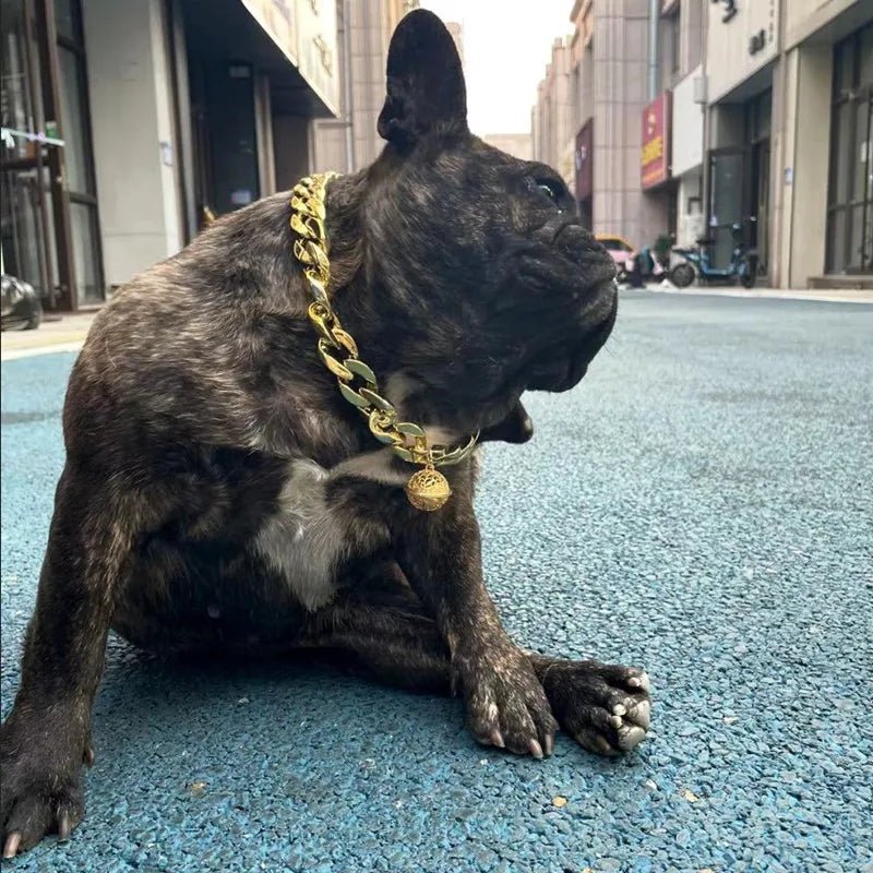 Collier pour chat male - ChatMour