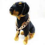 Collier pour chat male - Vignette | ChatMour