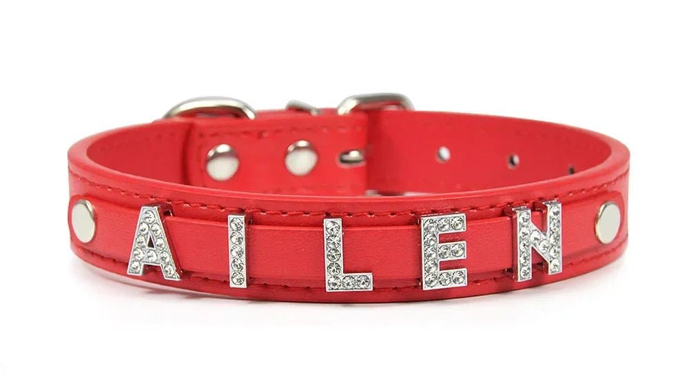 Collier pour chat personnalisé - ChatMour