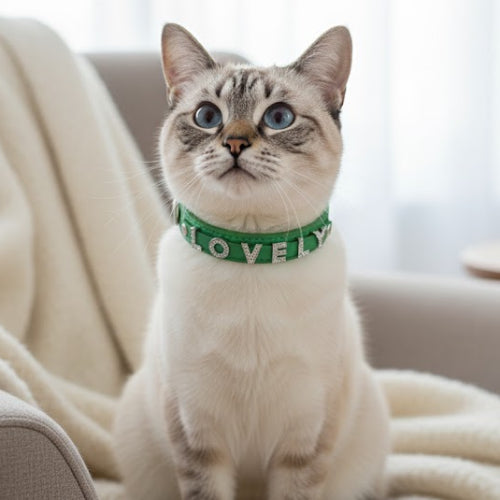 Collier pour chat personnalisé LOVELY