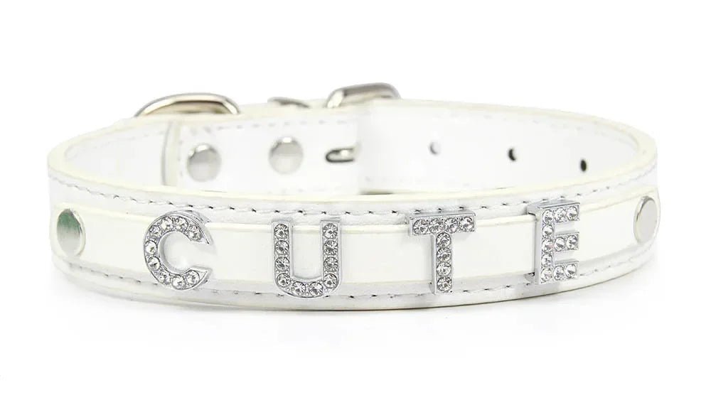 Collier pour chat personnalisé - ChatMour