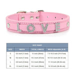 Collier pour chat personnalisé - Vignette | ChatMour