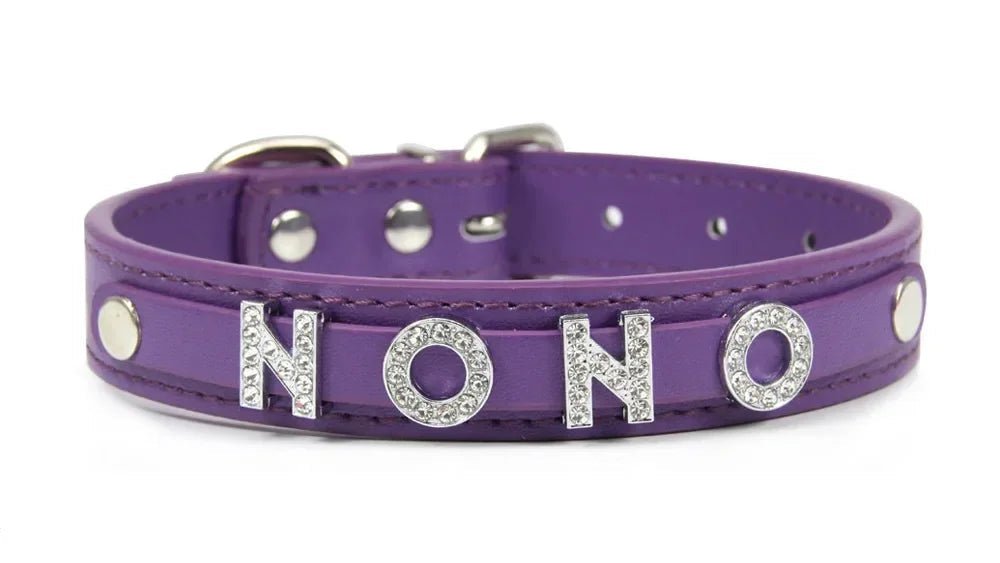 Collier pour chat personnalisé - ChatMour