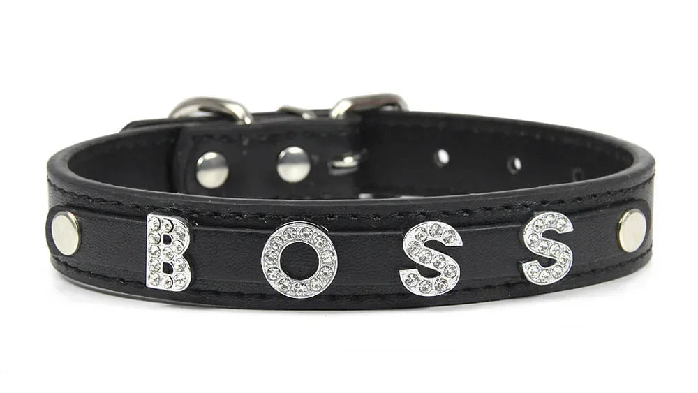 Collier pour chat personnalisé - ChatMour