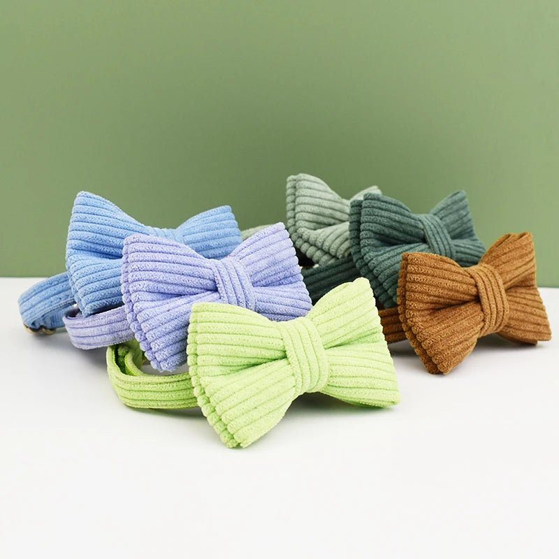 Collier pour chat personnalisable - ChatMour