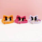 Collier pour chat personnalisable - Vignette | ChatMour