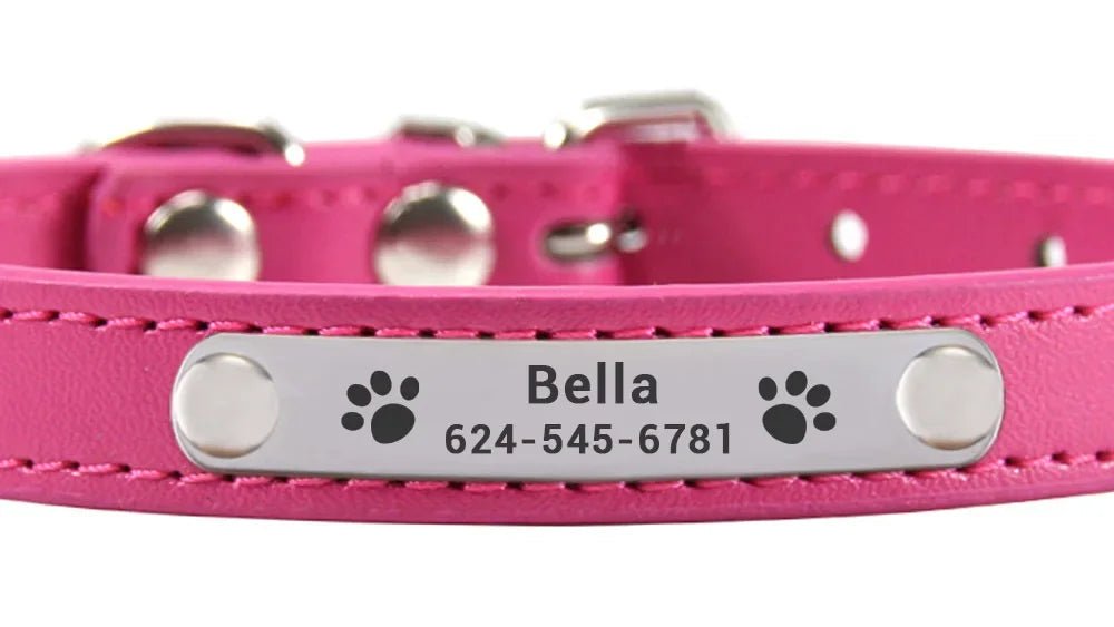 Collier pour chat simili cuir aux couleurs différentes - ChatMour