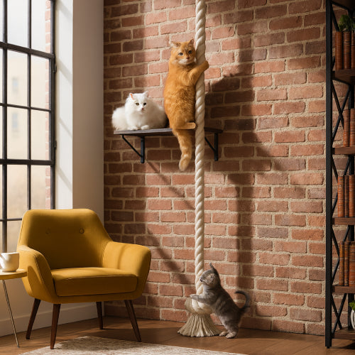 Corde arbre à chat chaise 