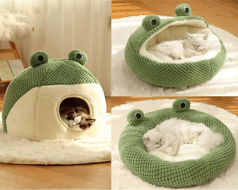 Couchage grenouille chat - ChatMour
