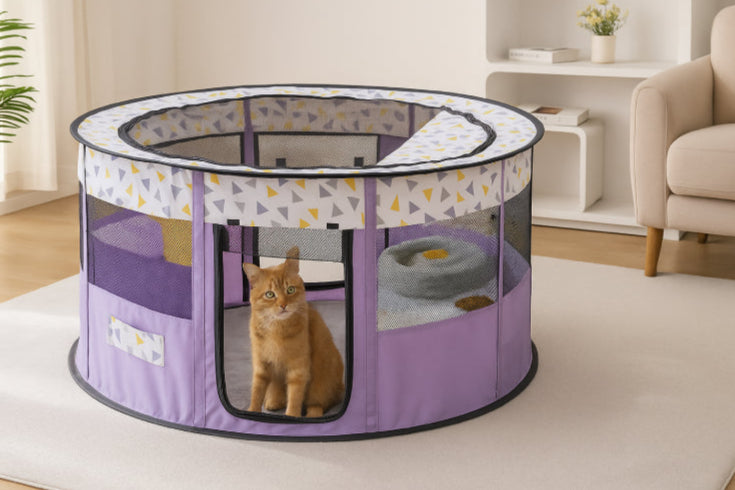 Couchage nid pour chat motif  jaune