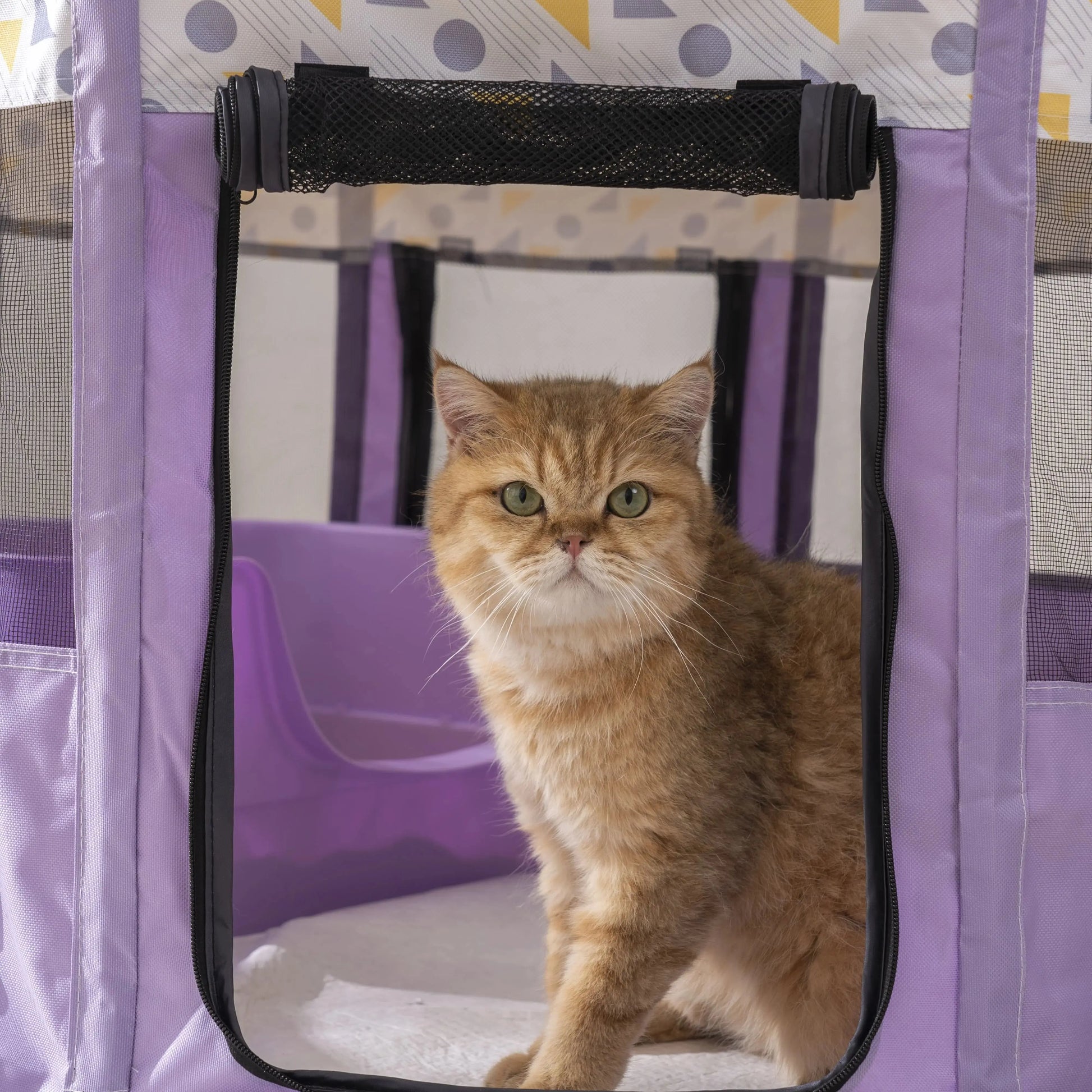 Couchage nid pour chat - ChatMour