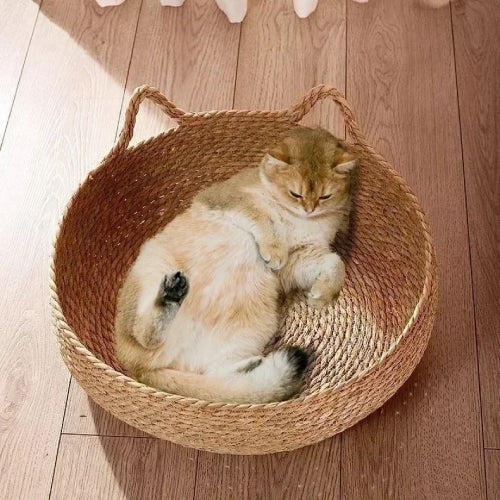 Couchage panier chat  sol