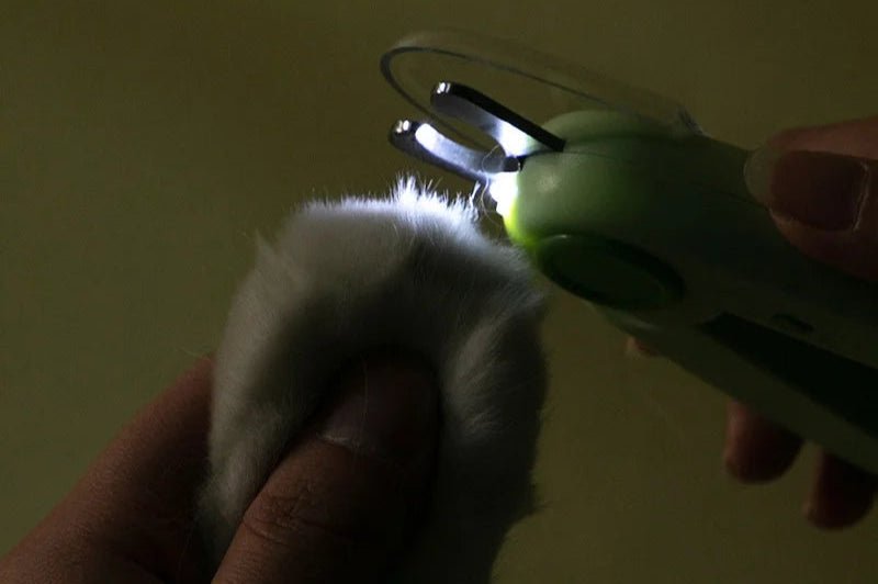 Coupe ongle chat - ChatMour