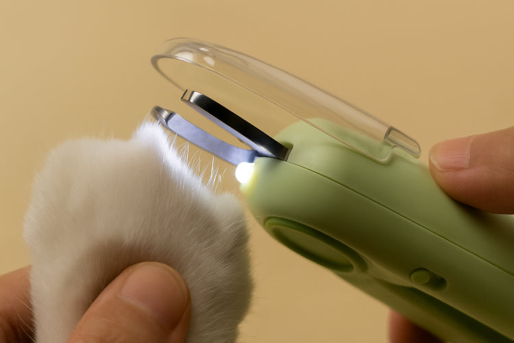 Coupe ongle chat main