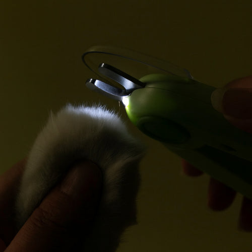 Coupe ongle chat nuit