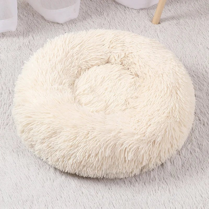 Coussin pour chat - ChatMour