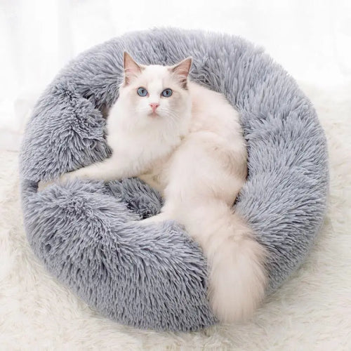 Coussin pour chat blanc peluche