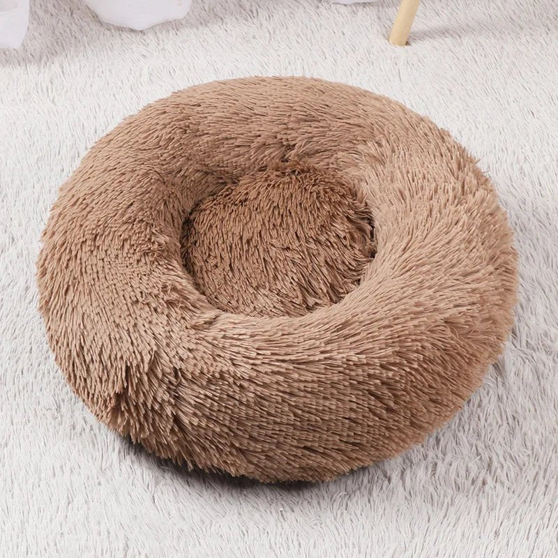 Coussin pour chat - ChatMour