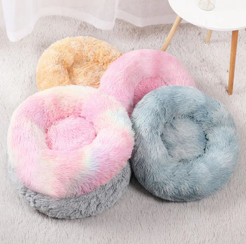 Coussin pour chat multicolore