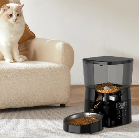 Distributeur automatique croquette chat chaise