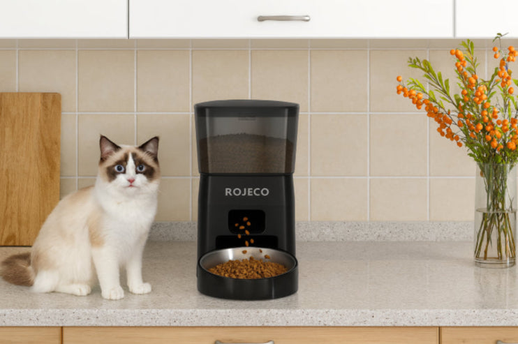 Distributeur automatique croquette chat  cuisine