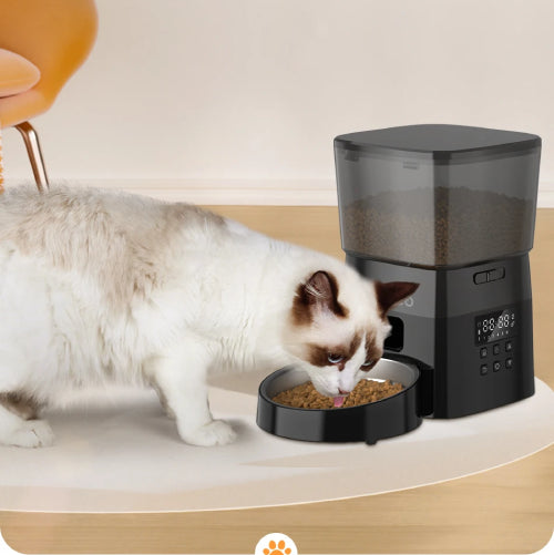 Distributeur automatique croquette chat manger