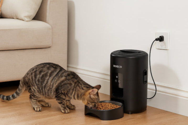 Distributeur de croquette pour chat salon