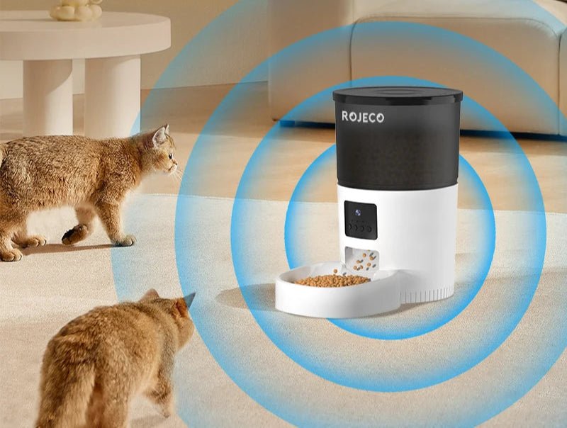 Distributeur nourriture pour chat - ChatMour