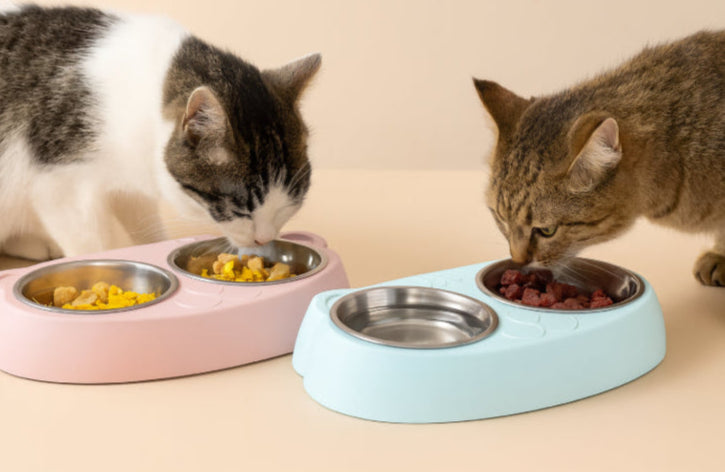 Double gamelle pour chat 2