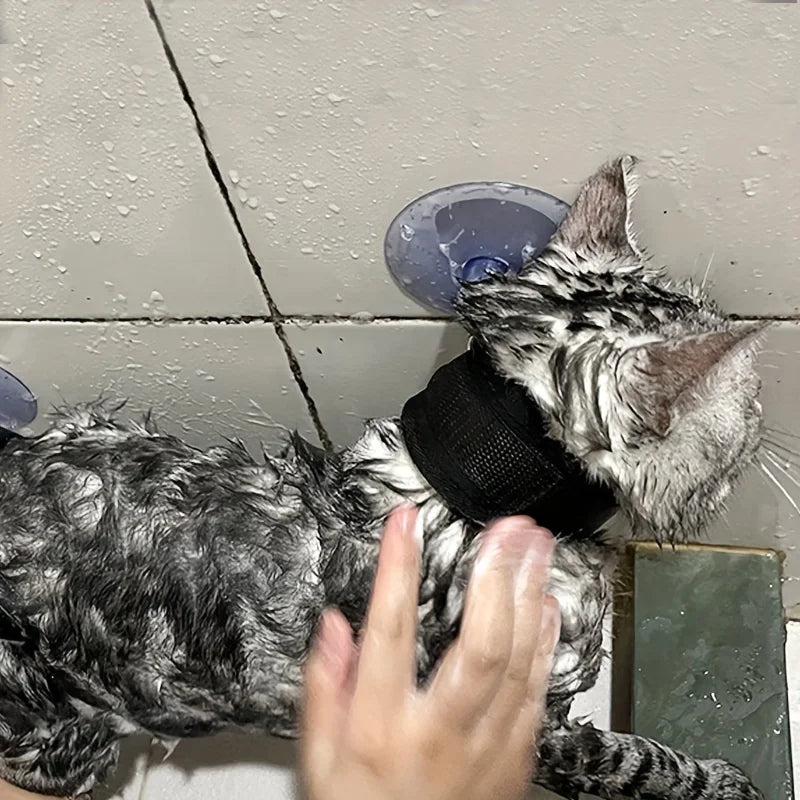 Fixation douche chat - ChatMour