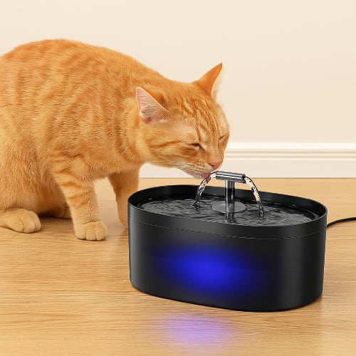 Fontaine d'eau XXL pour chat potable