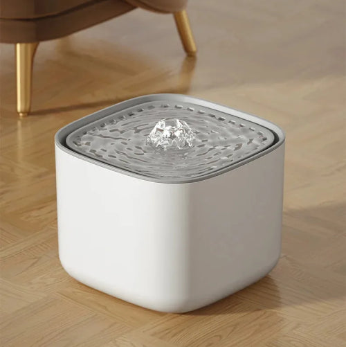 Fontaine d'eau chat salon 