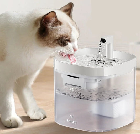 Fontaine d'eau intelligente pour chat - ChatMour