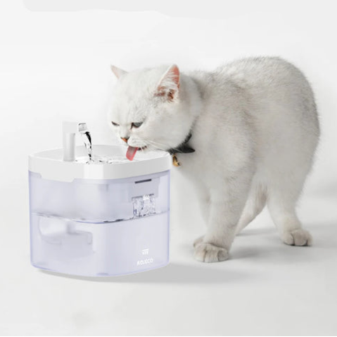 Fontaine d'eau intelligente pour chat fond blanc