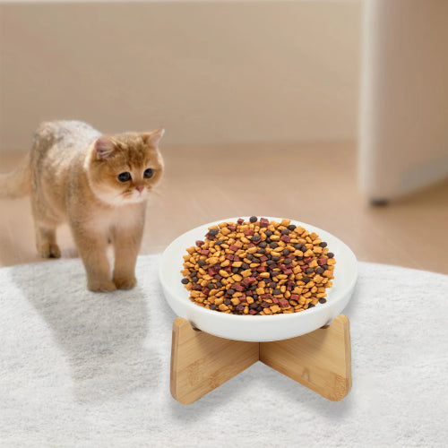 Gamelle anti glouton pour chat tapis