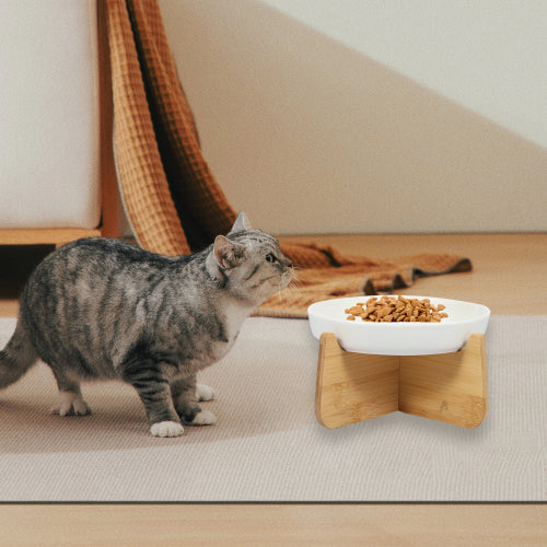 Gamelle anti glouton pour chat tapis gris 