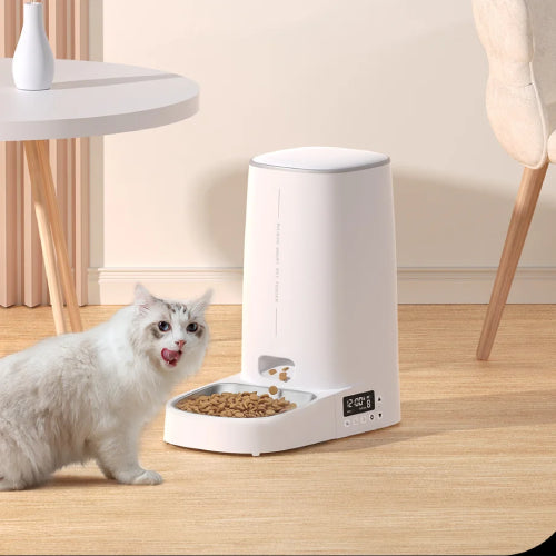 Gamelle automatique pour chat afficheur