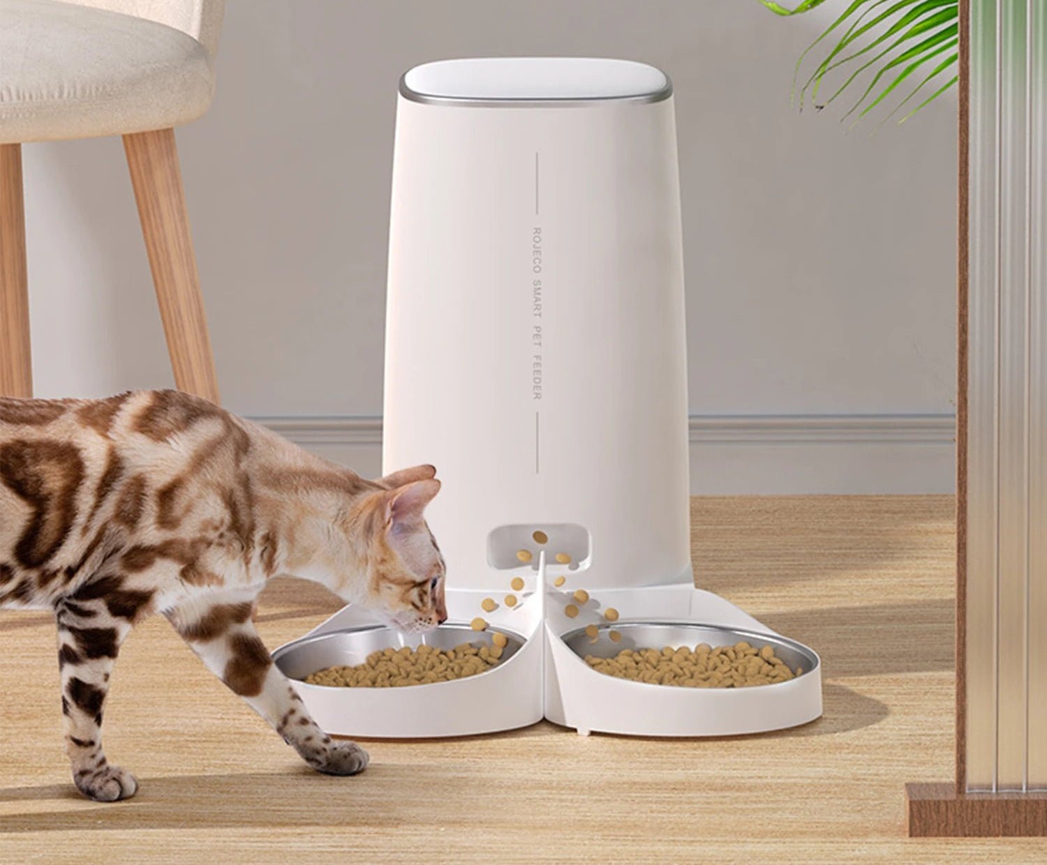 Gamelle automatique pour chat - ChatMour