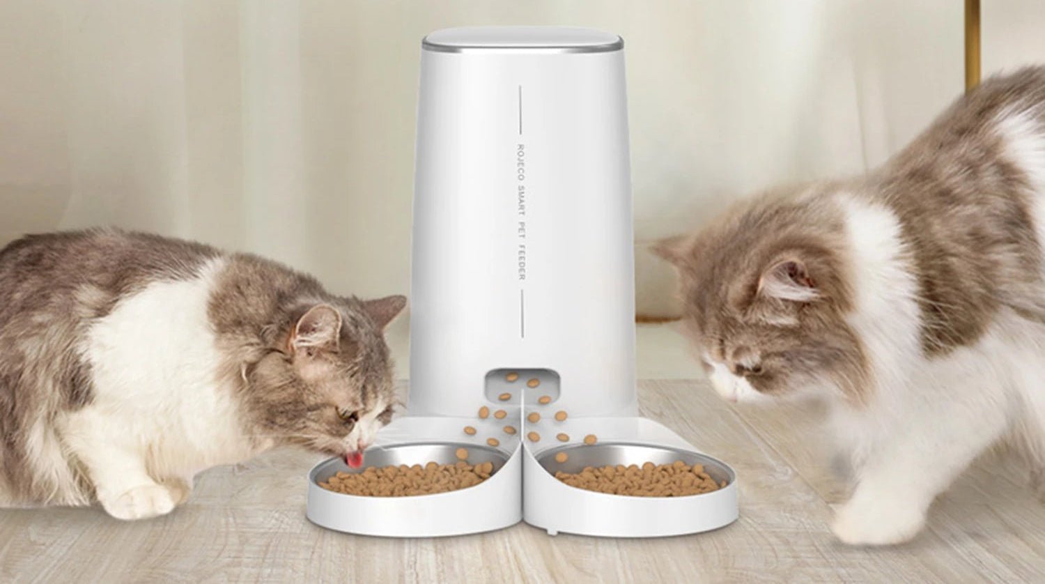 Gamelle automatique pour chat - ChatMour