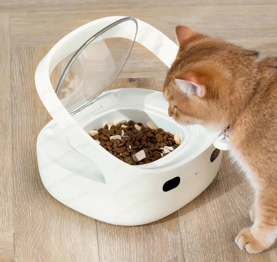 Gamelle chat puce - ChatMour