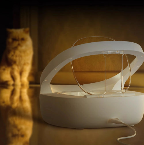 Gamelle chat puce USB