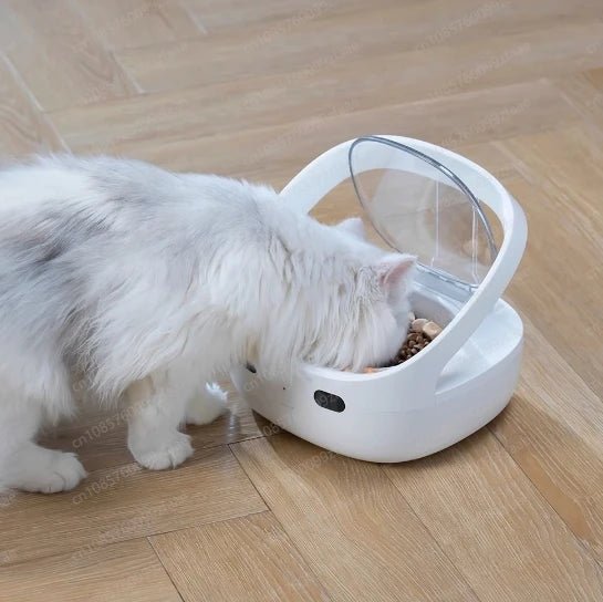 Gamelle chat puce - ChatMour