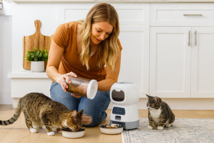 Gamelle connectée pour chat maman 