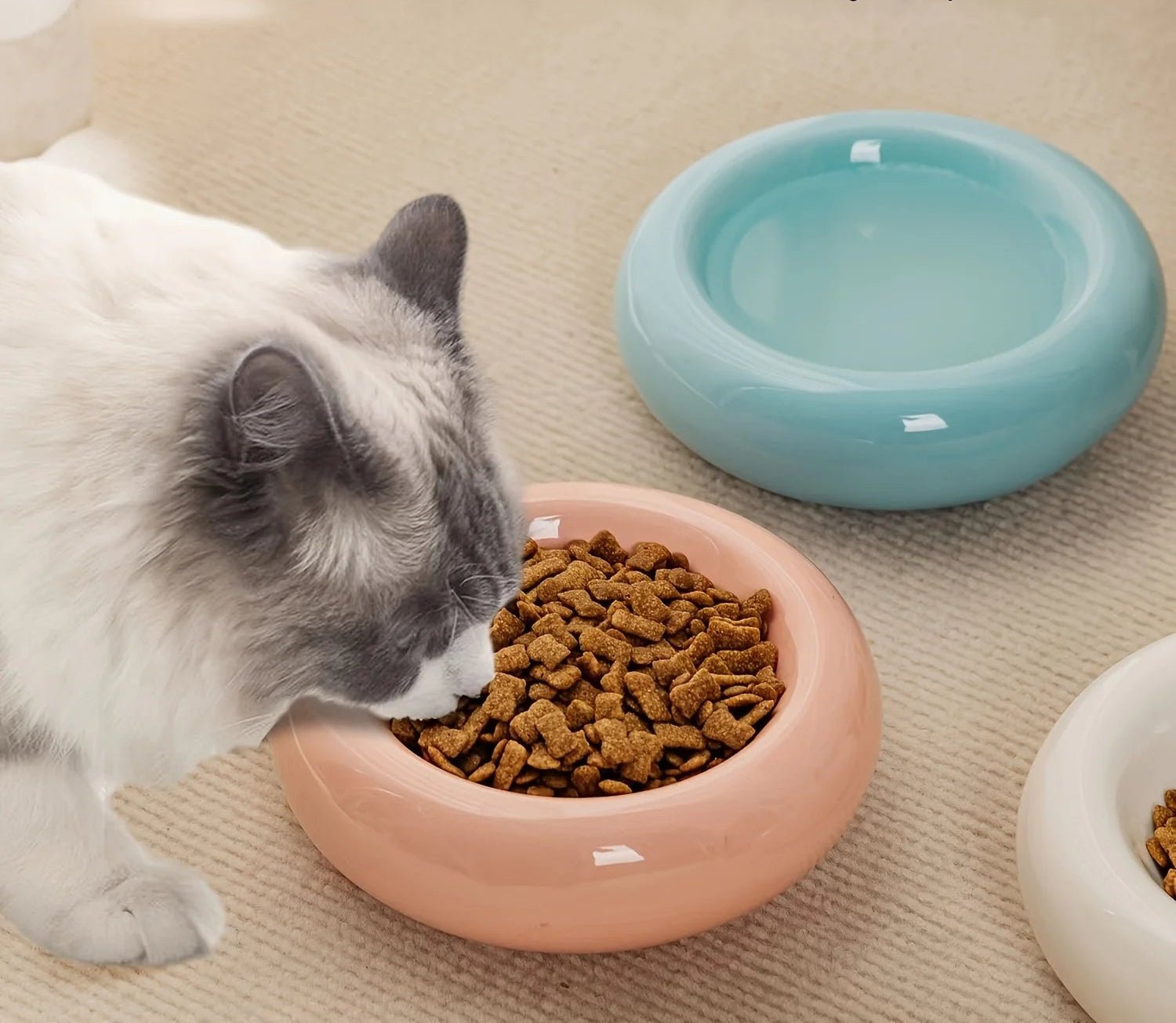 Gamelle en céramique pour chat - ChatMour