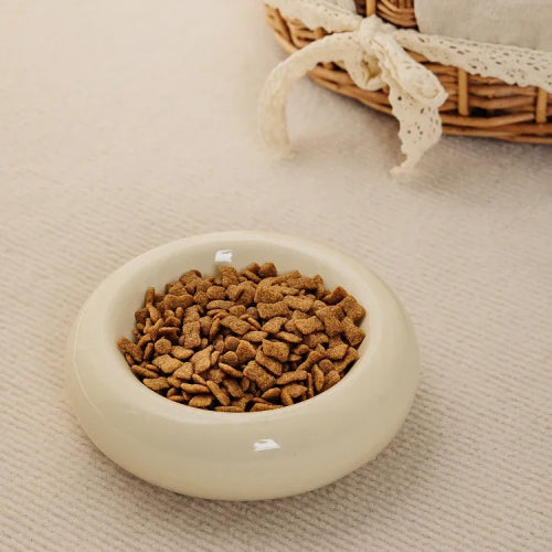 Gamelle en céramique pour chat tapis