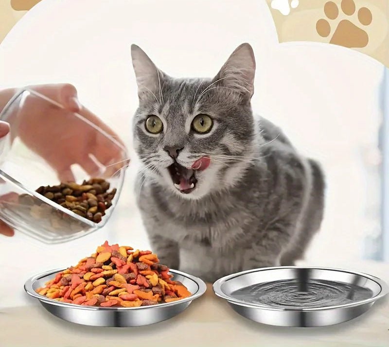 Gamelle en inox antidérapant - ChatMour