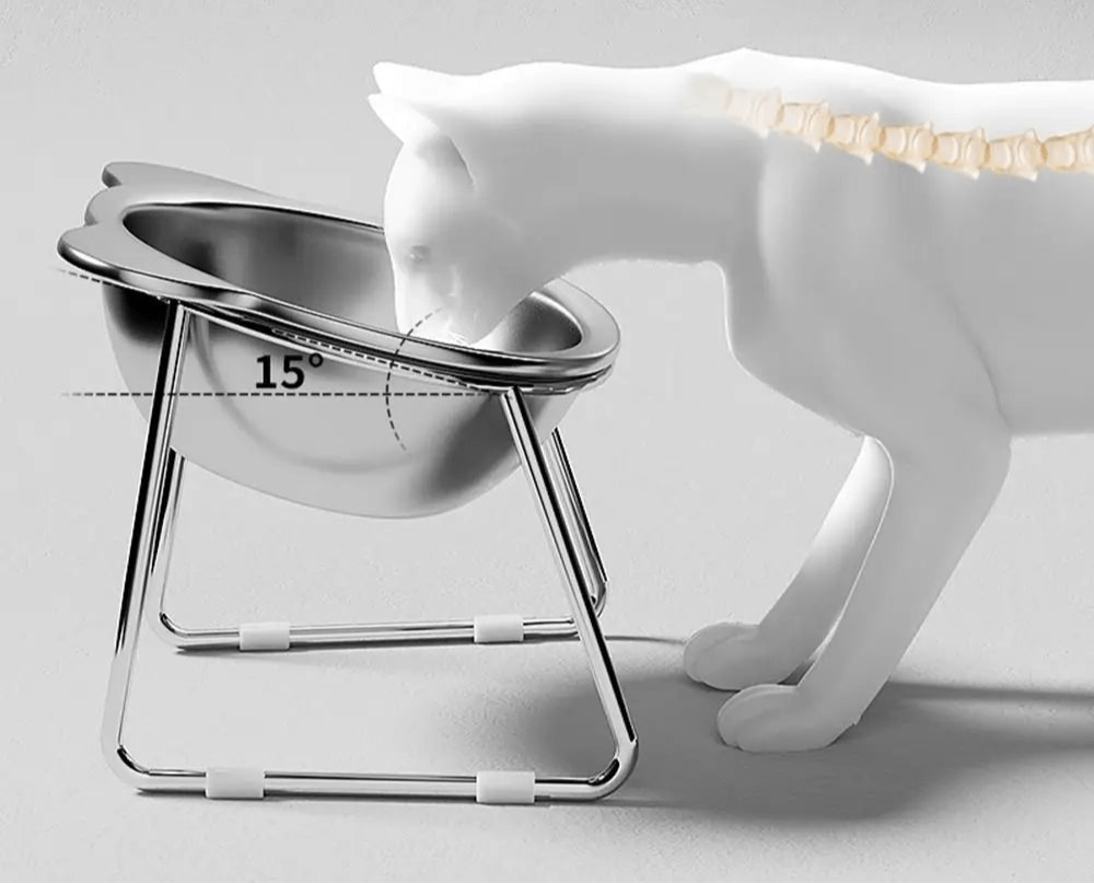 Gamelle pour chat - ChatMour