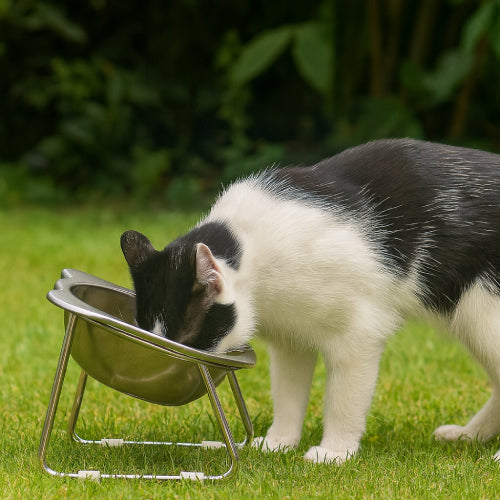 Gamelle pour chat forme chat jardin