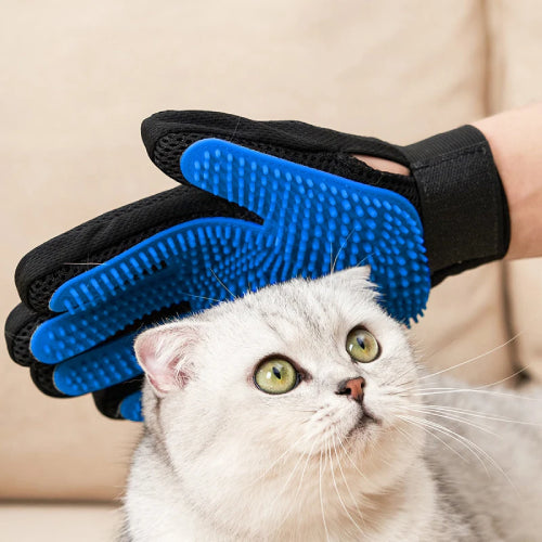 Gants de toilettage pour chat silicone 